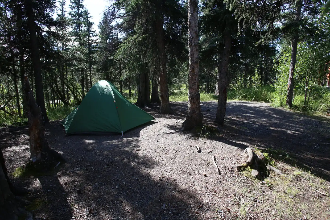 Zelt auf einem Waldcampingplatz