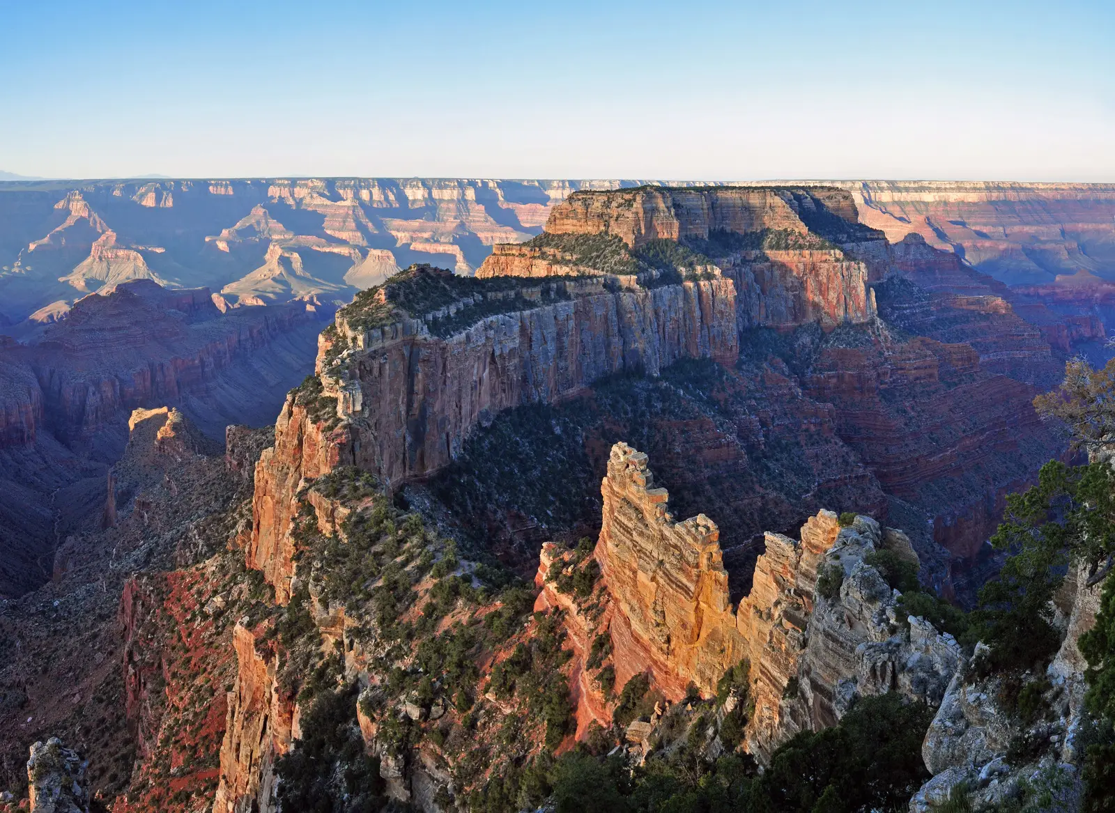 Grand Canyon North Rim vom Cape Royal aus