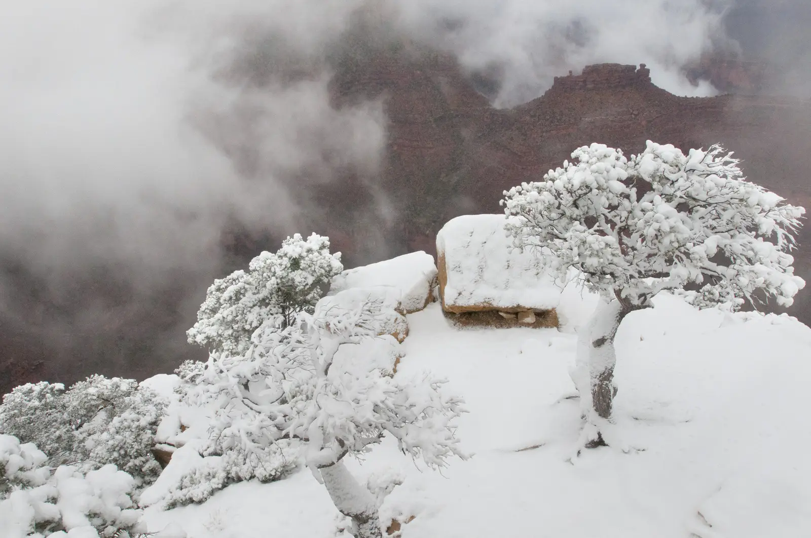 Frischer Schnee am Rand des Grand Canyon
