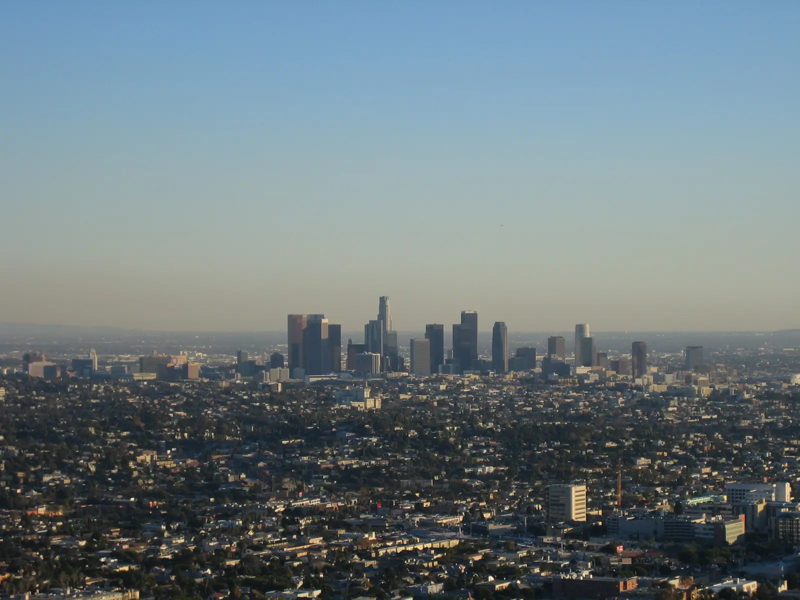 Die Skyline von Downtown Los Angeles